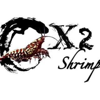 X2