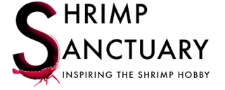 Shrimp Sanctuary
