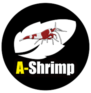 A-Shrimp