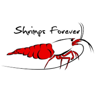 ShrimpsForever